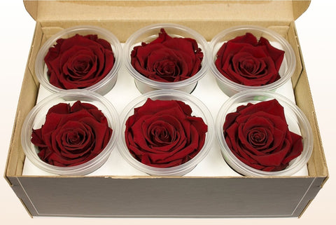Größe L, 6 Rosen