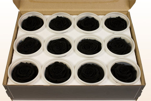 Größe S, 12 Rosen