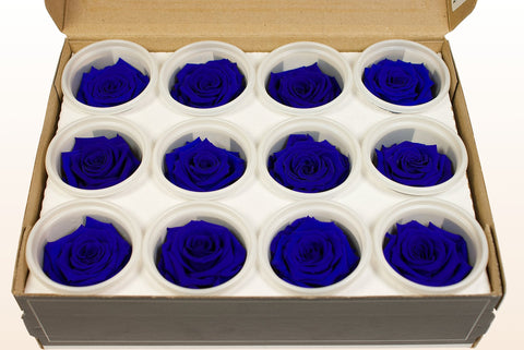 Größe S, 12 Rosen