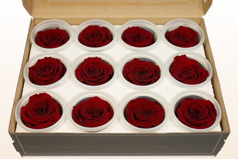 Größe S, 12 Rosen