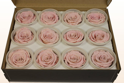 Größe S, 12 Rosen