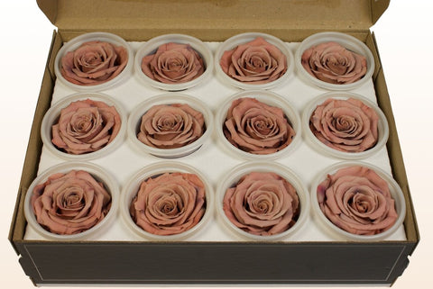 Größe S, 12 Rosen
