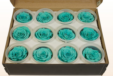 Größe S, 12 Rosen