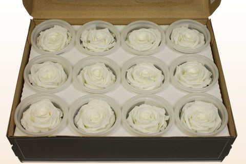Größe S, 12 Rosen
